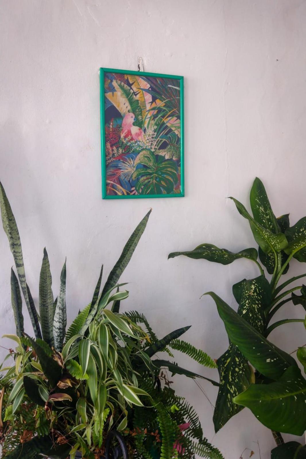 Residence Girassol بيليم المظهر الخارجي الصورة